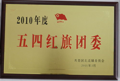 2010年度五四紅旗團(tuán)委
