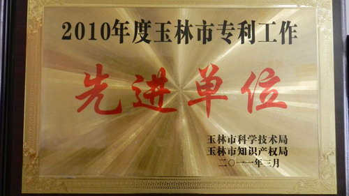 2010年度玉林市專利工作先進(jìn)單位