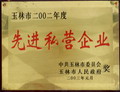 先進(jìn)私營企業(yè)