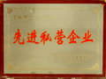 2003先進(jìn)私營企業(yè)