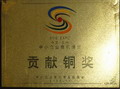 貢獻(xiàn)銅獎