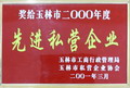先進(jìn)私營企業(yè)