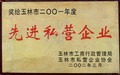 玉林市2001年度先進(jìn)私營企業(yè)