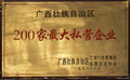 廣西壯族自治區(qū)200家最大私營企業(yè)