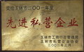 玉林市2001年度先進(jìn)私營企業(yè)