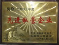 玉林市2005年度先進(jìn)私營企業(yè)
