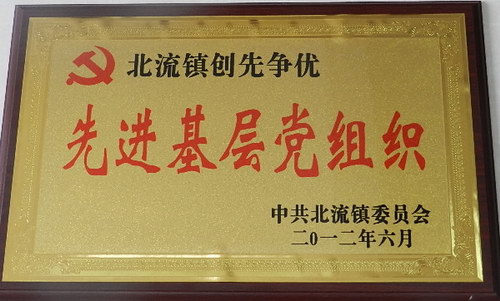 2012年“先進(jìn)基層黨組織”