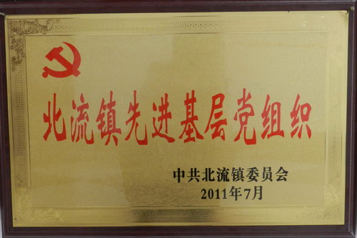 北流鎮(zhèn)先進(jìn)基層黨組織