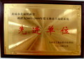 北流市北流鎮(zhèn)商會被評為2005-2009年度玉林市工商聯(lián)系統(tǒng)先進(jìn)單位