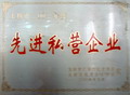 玉林市2003年度先進(jìn)私營企業(yè)