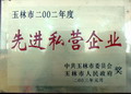 玉林市2002年度先進(jìn)私營企業(yè)